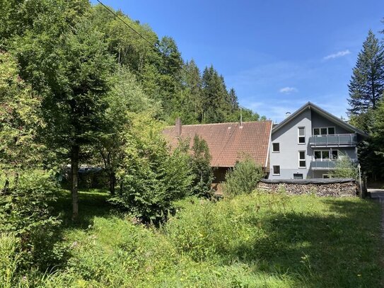 Idyllischer Bauernhof mit hochwertigem Dreifamilienhaus und großzügigem Ökonomiegebäude