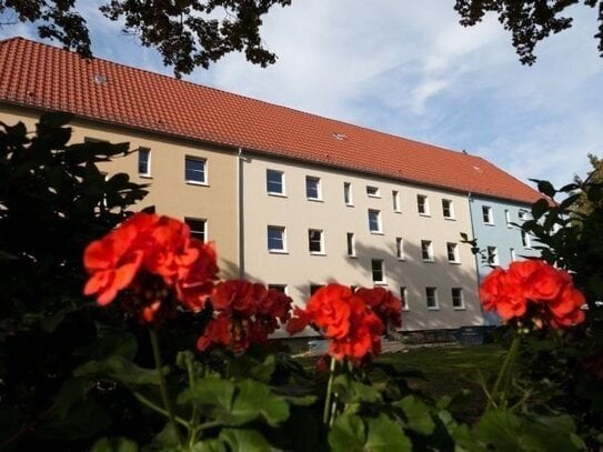 Sehr gepflegte Wohnung, tolle Aufteilung, Süd-Balkon !!!