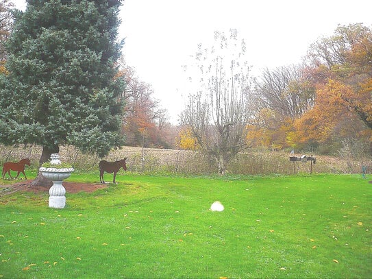 Heidhausen: ländl. Lage, freist. Haus, ca. 150 m² WFL, 4 R, 2 Bäd., gr. Garten,