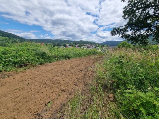 Ruhige Ortsrandlage mit Ausblick in Collenberg