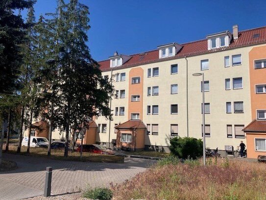 Große geräumige 2-Raum Dachgeschosswohnung mit Blick ins Grüne