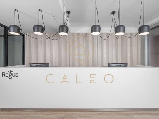 CALEO ¦ Sachsenhausen ¦ flexibel + sofort bezugsfertig ¦ all inclusive ¦ PROVISIONSFREI