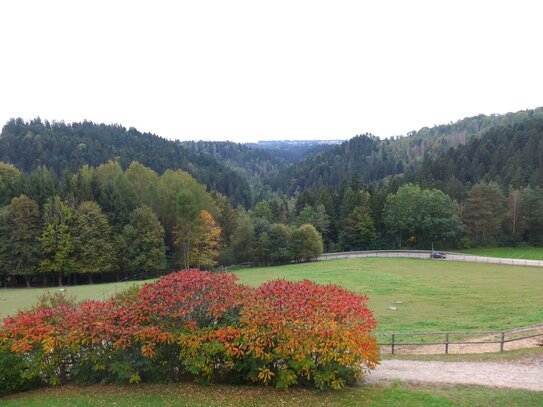 neuwertiger Komplex: Ferienwohnungen - Hotel in Niederbayern zu verkaufen