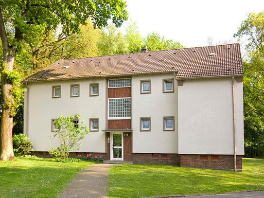 Mit Blick in den Wald, für Naturliebhaber inkl. Balkon