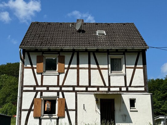 Sanierungsbedürftiges Haus mit großem Grundstück