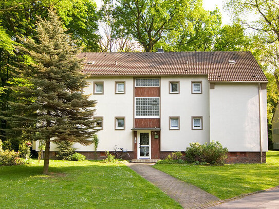 2-Zimmer-Wohnung: Balkon mit Blick ins Grüne in Gelsenkirchen Resser Mark