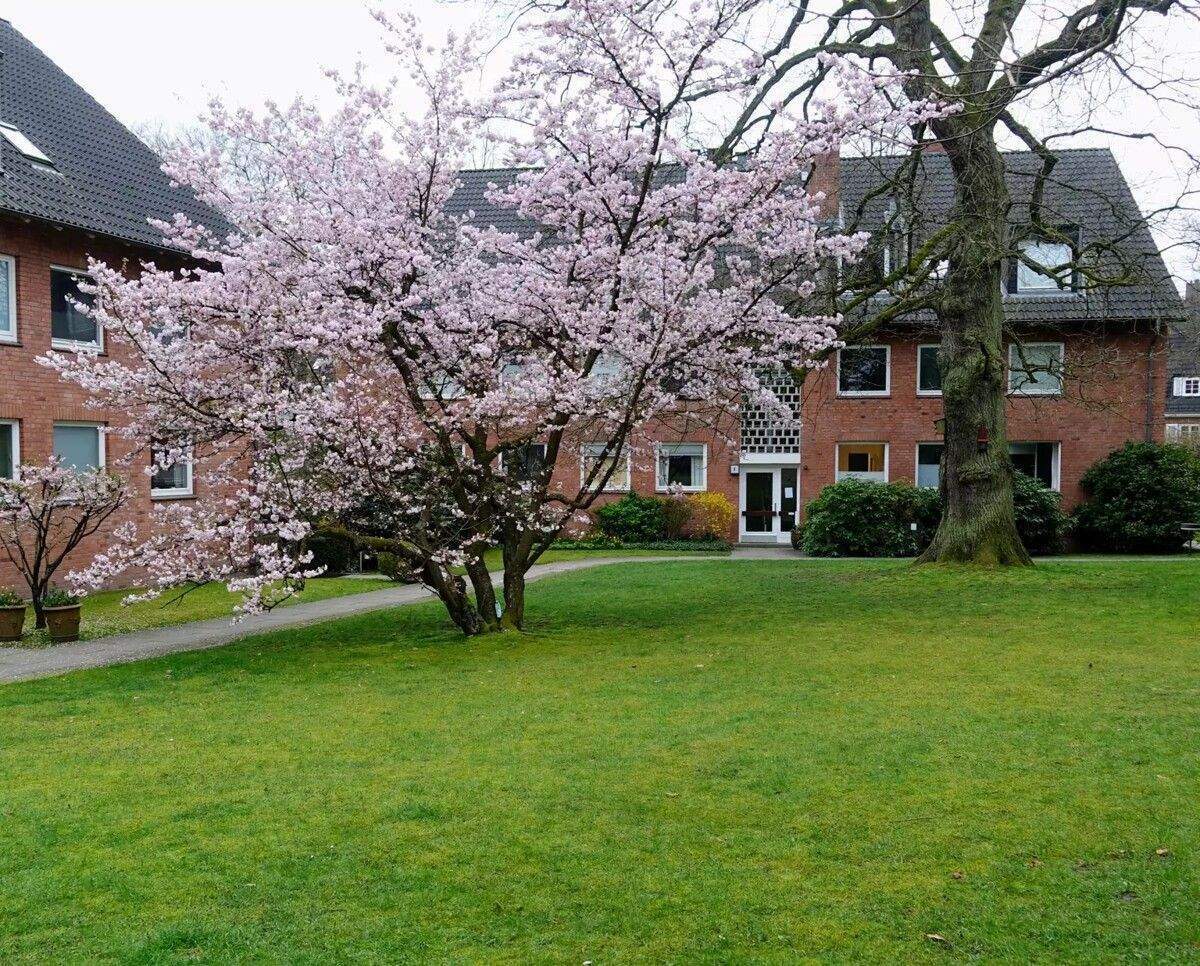 Provisionsfrei in Nienstedten: Großzügige 4-Zimmer-Wohnung auf großem Grundstück