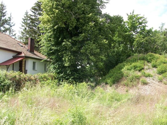 15806 Zossen/OT Dabendorf: Attraktives, vollständig erschlossenes, baufreies Grundstück nahe der B 96