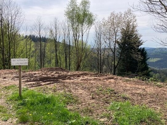 Baugrundstück in sonniger Südwestanlage und herrlicher Fern Sicht