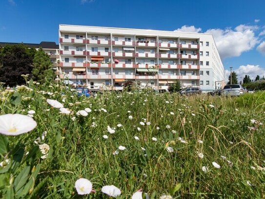 Ruhige Lage und Blick ins Grüne...wir sanieren für Sie