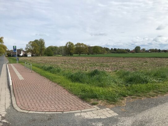 Baugrundstücke in kleinem Neubaugebiet suchen Bauherren- Damen