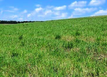 **Ländliches Ackerland in Thüringen**