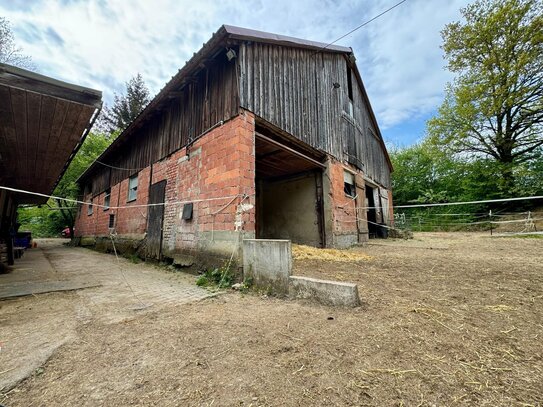 Reiterparadies mit Wohnkomfort - Exklusiver Pferdehof mit 3 Hektar Pachtweiden