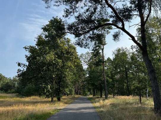 Idyllischer Landsitz in Pietschen - Perfekt für Mehrgenerationenwohnen