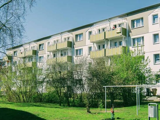 Neue Wohnung, neues Glück!