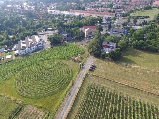 großzügige 4- Raum Wohnung mit Balkon im Weingut Weimar