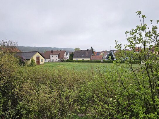 Hofstelle mit Dreifach-Garage und Scheunen