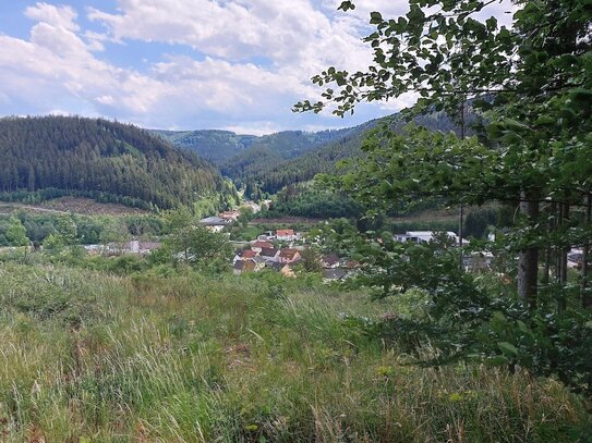 GANESHA-IMMOBILIEN...schöne Waldlichtung mit Fernblick zu verkaufen !