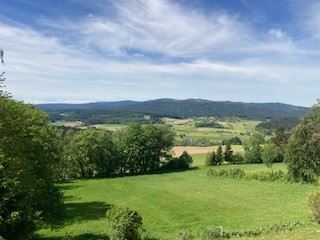 Ferien-/Eigentumswohnung mit Panoramablick! 2-Zi.-ETW mit Balkon in Regen-Kattersdorf