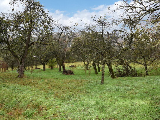 Großzügiges Baugrundstück in Ortsrandlage von Niedermirsberg