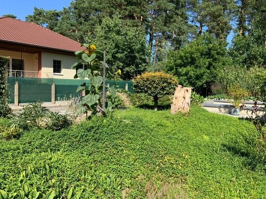 Solider Bungalow mit schönem Garten am Wald