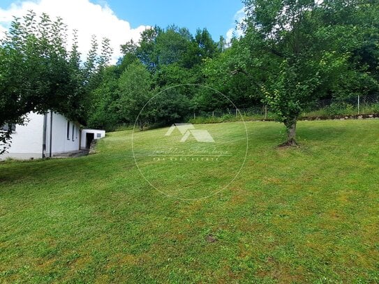 Teilsaniert mit großem Garten am Südhang