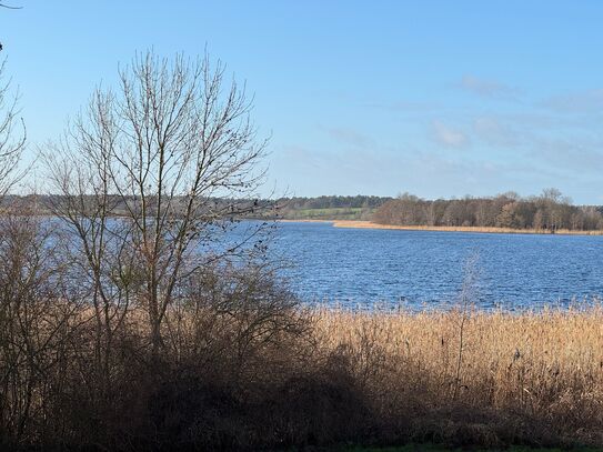 Wohnen am Oberuckersee