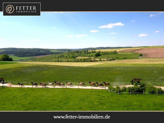 Pferdegerechte Reitanlage zu verkaufen inkl. Aktivstall & PV-Anlage (160 kWp) in Landkreis Heidenheim an der Brenz!