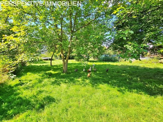 Baugrundstück im Grünen und doch zentral in der Kurstadt