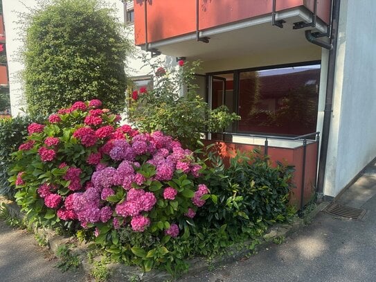 3 Zimmer EG-Wohnung in Lindau - Oberreitnau