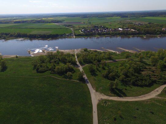 25.123 m² Wald mit Kiefern in Schönhausen an der Elbe