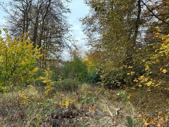 Baugrundstück in zentrumsnaher Lage mit herrlichem Baumbestand!