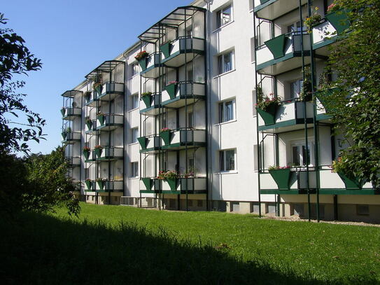 Wohnen im Grünen! 2-Raum-Wohnung mit Badewanne und Balkon in Zwötzen