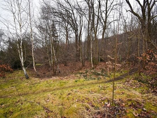 Baugrundstück: idyllisch gelegen in Langelsheim!