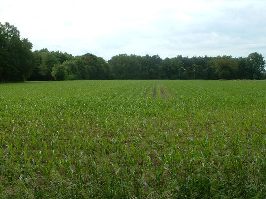 40,0 ha Acker- u. Grünlandfläche Großraum Dresden zu verkaufen