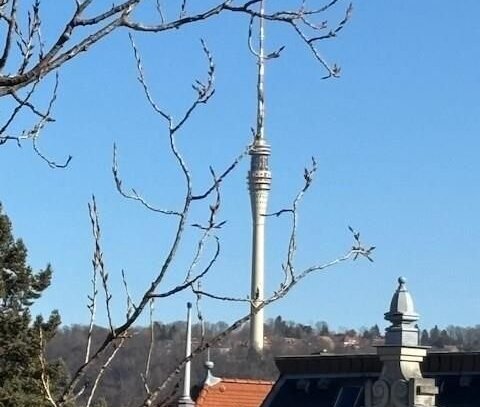 Erstbezug! Dachtraum über 2 Ebenen, Wintergarten, Klimaanlage, Lift hält in Wohnung!