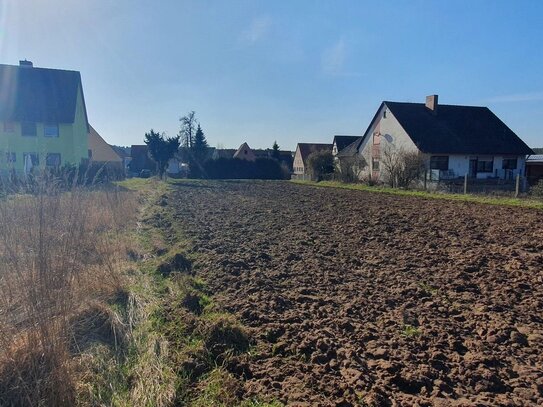 Traumgrundstück für ein bis zwei Einfamilienhäuser oder Mehrfamilienhaus, Gartenland und Wald