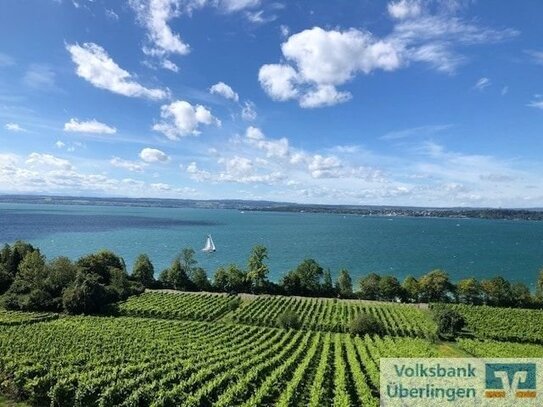 Zu vermieten, 4 Zimmer Dachgeschoss Maisonette in Meersburg mit frontaler See- und Bergsicht