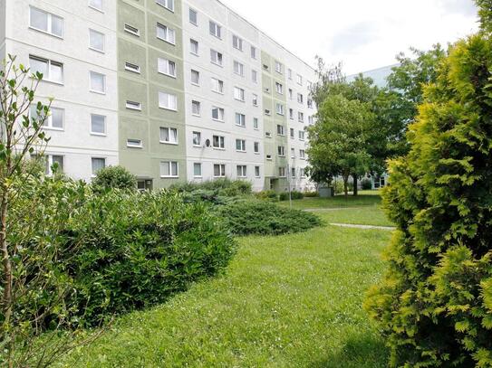 Helle Einraumwohnung, modern geschnitten