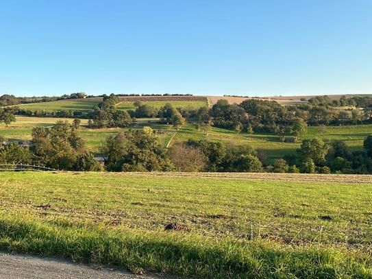 Traumgrundstück im Taunus (Glashütten - Schloßborn)