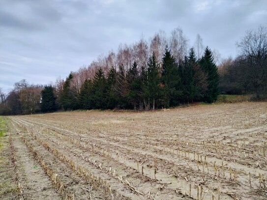 Ackerfläche und Wald in der Gemeinde Pfeffenhausen zu verkaufen. Die Fläche beträgt ca. 1,38 ha