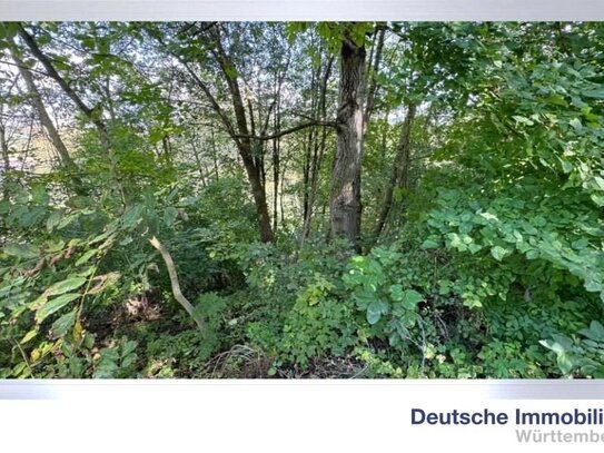 2 Wald- bzw. Gartengrundstücke in Weinstadt- Schnait