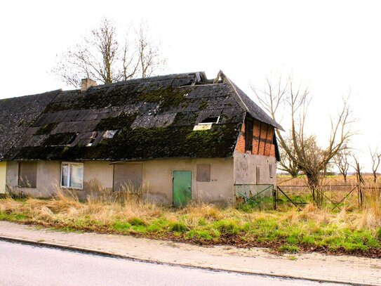 sanierungsbedürftige Haushälfte auf weitläufigem Grundstück