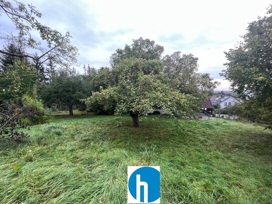 Südhanggrundstück in bevorzugter Lage