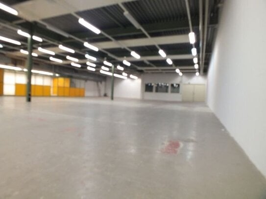 Gottmadingen Gewerbehalle , etwa 850m² Mietfläche zu vermieten