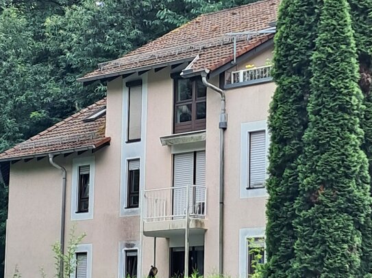 Ideale Kapitalanlage: Top gelegene kleine Wohnung im Kurort Bad Bergzabern