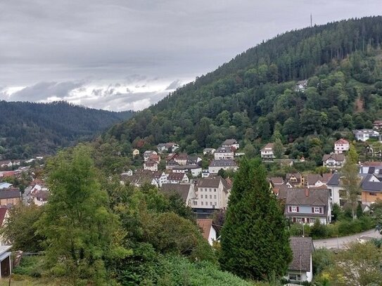 Hier ist Platz für Ideen - wie wäre es mit einem TinyHouse oder Ferienwohnungspark