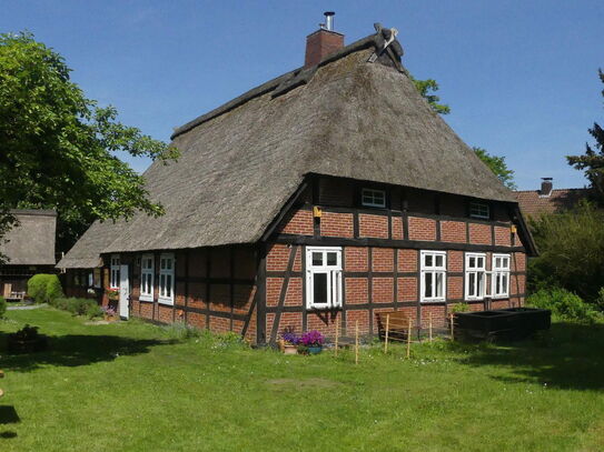 Schönes Reetdach-Bauernhaus mit Bauerngarten und Treppenspeicher