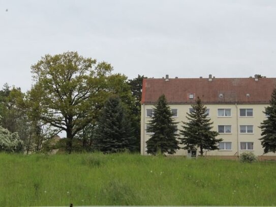 MFH mit Potenzial in Altenburg, Nähe Herrenhaus in Grünlage mit vielen Stellplätzen