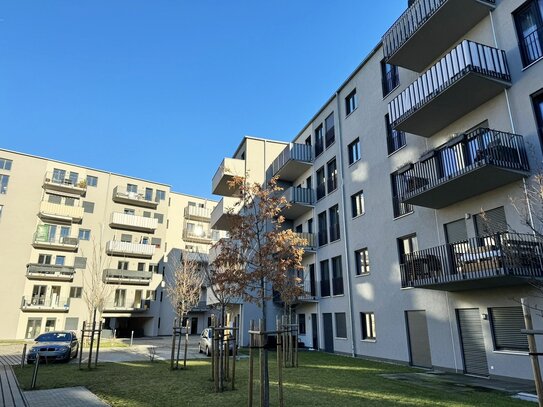 +++ Modernes 2-Raum-Apartment mit Terrasse und EBK in Citylage +++